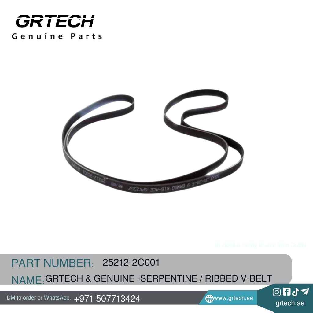 SERPENTINE/RIBBED V-BELT - Image 2