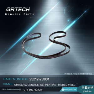SERPENTINE/RIBBED V-BELT